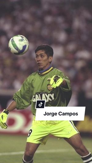 Video post by @lagalaxy on TikTok