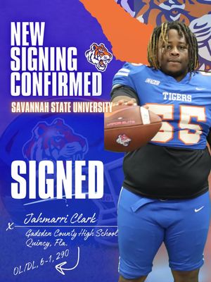 Image post by @savstatetigers on Instagram