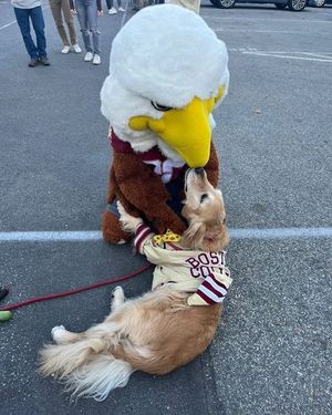 Image post by @bostoncollege on Instagram