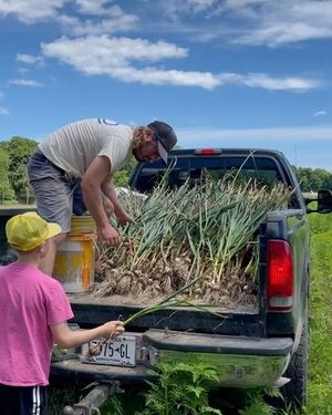 Image post by @romansnyc on Instagram