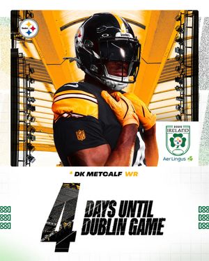 Image post by @steelersireland on Instagram