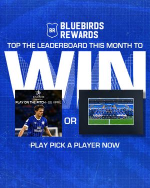 Image post by @cardiffcityfc on Instagram
