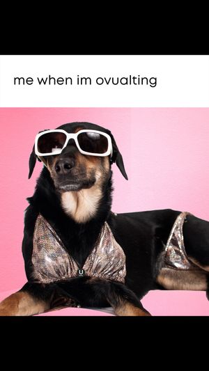 Video post by @ubykotexus on TikTok