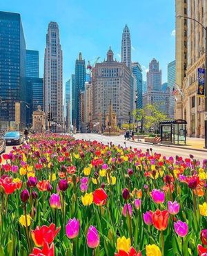Image post by @chicago.explore on Instagram