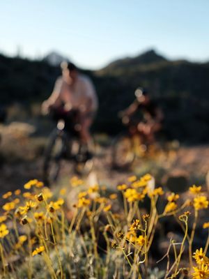 Image post by @wolf_tooth_comp on Instagram