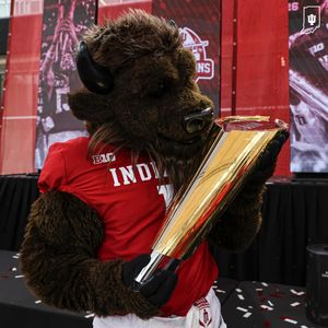 Image post by @hoosierthebison on Instagram