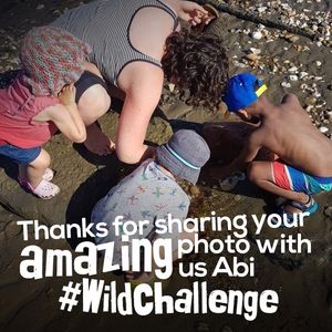 Image post by @rspb on Instagram