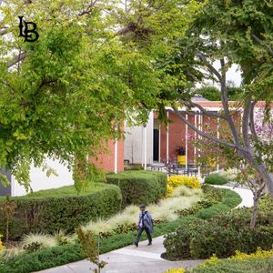 Image post by @csulongbeach on Instagram