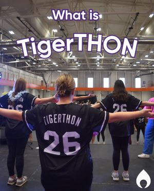 Image post by @clemsonmiracle on Instagram