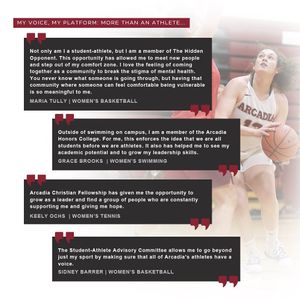 Image post by @arcadia_saac on Instagram