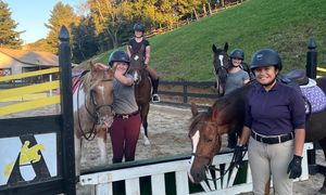 Image post by @appalachianequestrian on Instagram
