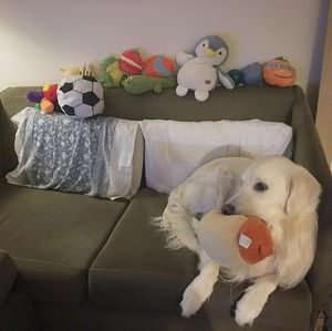 Image post by @mikethewhitegolden on Instagram