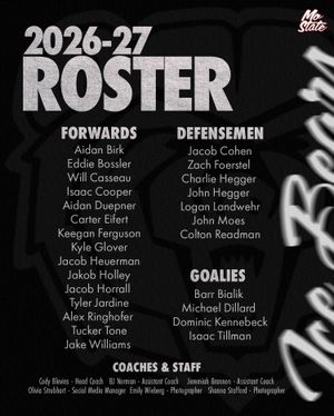 Image post by @d3mostatehockey on Instagram