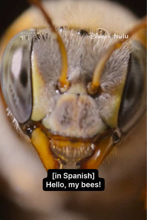 Video post by @natgeotv on TikTok