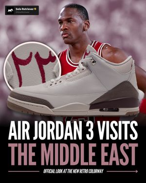 Image post by @soleretriever on Instagram