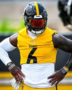 Image post by @steelers on Instagram