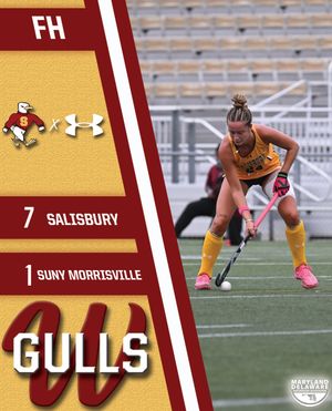 Image post by @suseagulls on Instagram