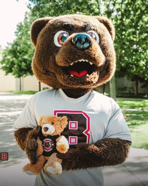 Image post by @brownu_bears on Instagram