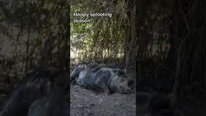 Video post by @nbcnewyork on YouTube