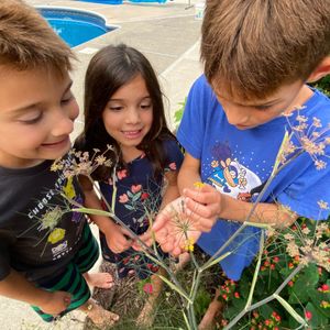 Image post by @kidsgardening on Instagram