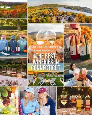 Image post by @thetwoohthree on Instagram