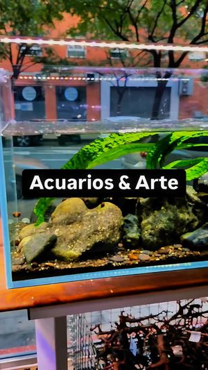 Video post by @aqualupi on Instagram