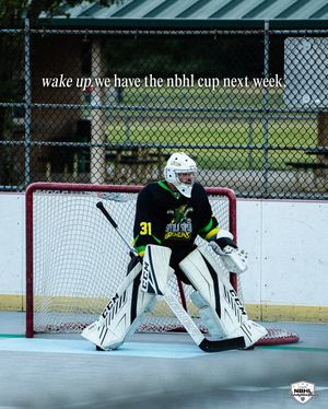 Image post by @nationalballhockeyleague on Instagram