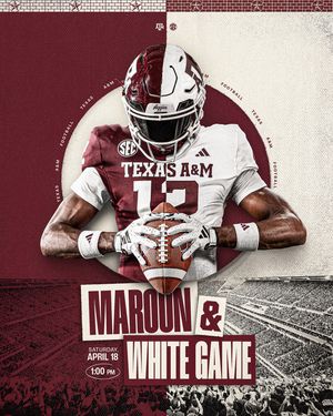 Image post by @whitty.creative on Instagram