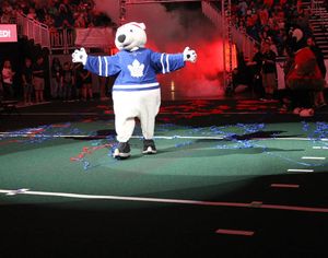 Image post by @officialcarltonthebear on Instagram