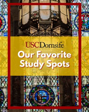 Image post by @uscdornsife on Instagram