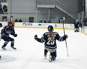 Image post by @stahawkswhockey on Instagram