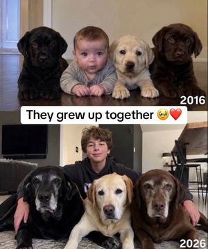 Video post by @complex on TikTok