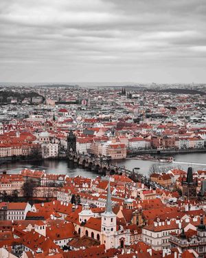 Image post by @tedtmedia on Instagram
