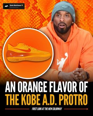 Image post by @soleretriever on Instagram