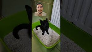 Video post by @zappy-tv on YouTube