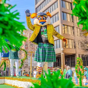 Image post by @swamprabbits on Instagram