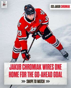 Image post by @ohlicedogs on Instagram