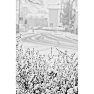 Image post by @haneefshareef on Instagram