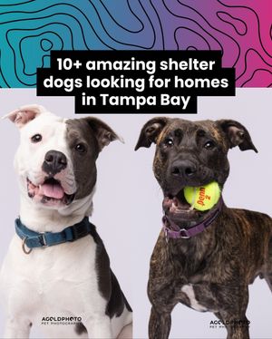 Image post by @thatssotampa on Instagram