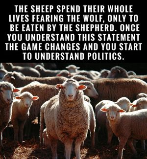 Image post by @trayfour on Instagram