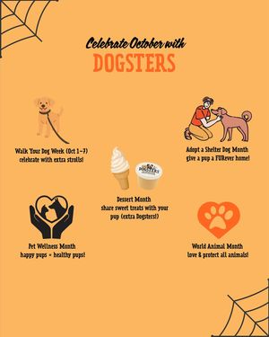 Image post by @dogstersicecream on Instagram