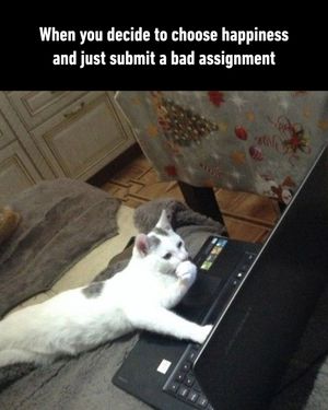 Image post by @9gag on Instagram