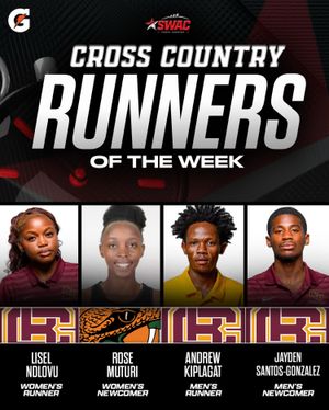 Image post by @theswac on Instagram