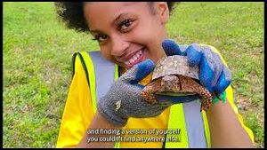 Video post by @nationalparkservice on YouTube