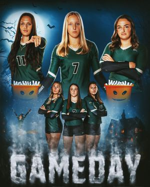 Image post by @wsuvball on Instagram