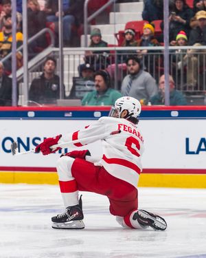 Image post by @cornellmhockey on Instagram