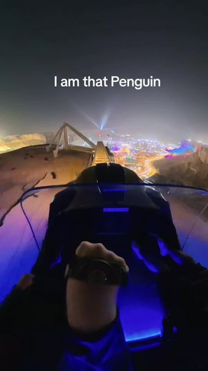 Video post by @parkineer on TikTok