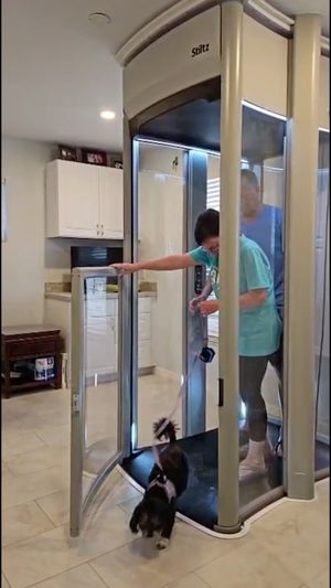 Video post by @Stiltzfl on Facebook