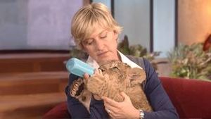 Video post by @theellenshow on YouTube