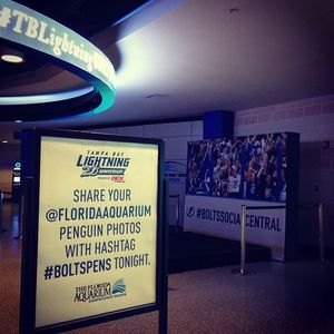 Image post by @tblightning on Instagram